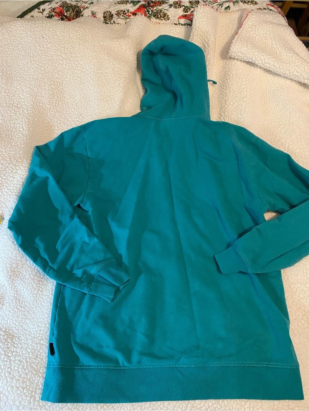 Patagonia Teal Zip-Up Hoodie with Mountain Patch size large - Picture 5 of 9